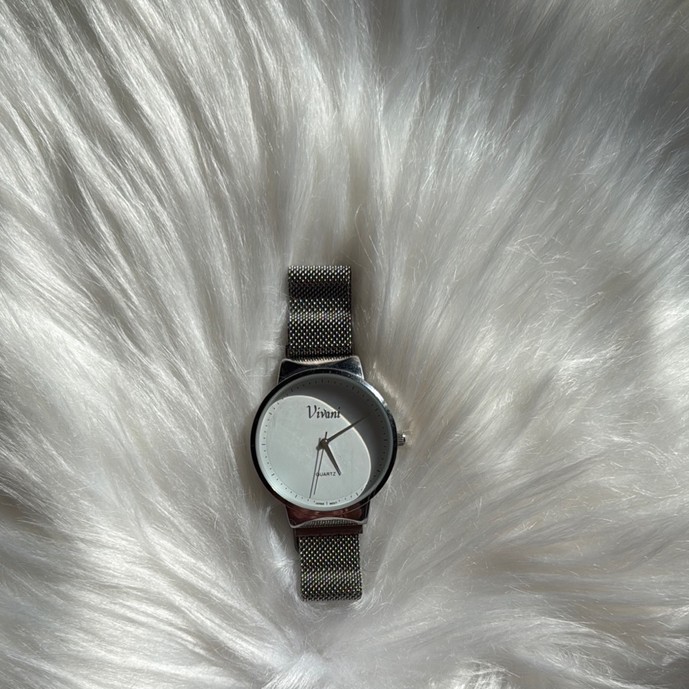 Vivani Design Silver Mesh Watch